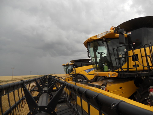 Gloomy clouds loom over the combines