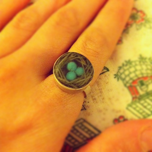 My cute ring by Fernworks. It is a miniature nest complete with bird eggs! I can't wait to have baby birds.