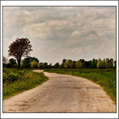 strade di campagna - country roads