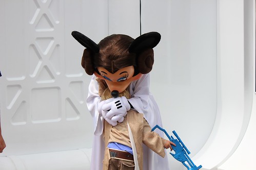 Princess Leia Minnie Mouse