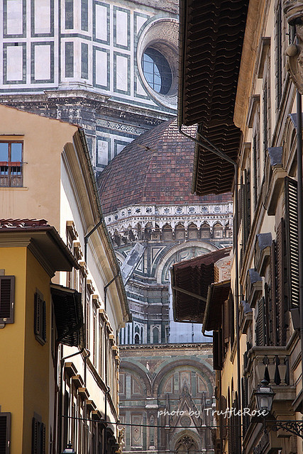 佛羅倫斯。Florence-110525