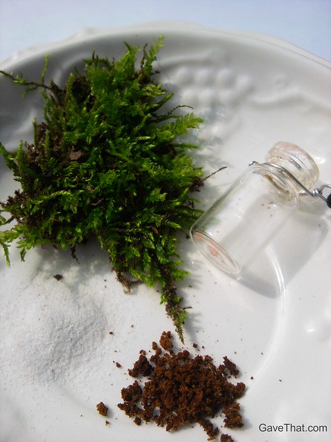 Things needed to make your own living terrarium necklace pendent