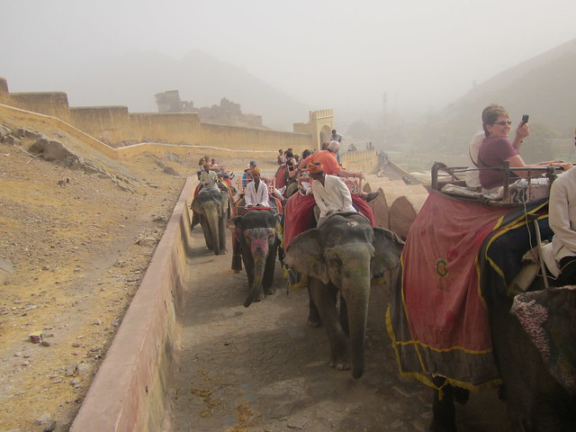 elephant ride to Amber Fort, Jaipur