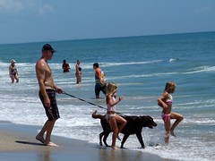 Brevard County's Only Dog Beach, Canova Park, Indian Harbour Beach FL