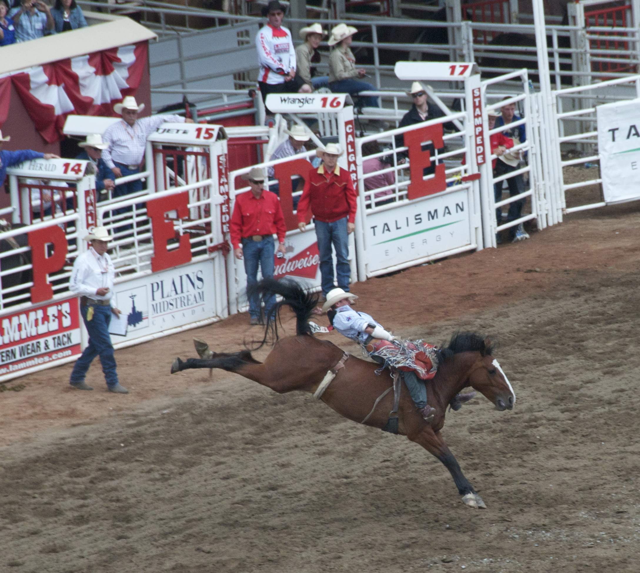 38 photos of the annual Calgary Stampede in Canada | BOOMSbeat