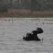 Hippo Lake near Banfora, Burkina Faso - IMG_1099_CR2