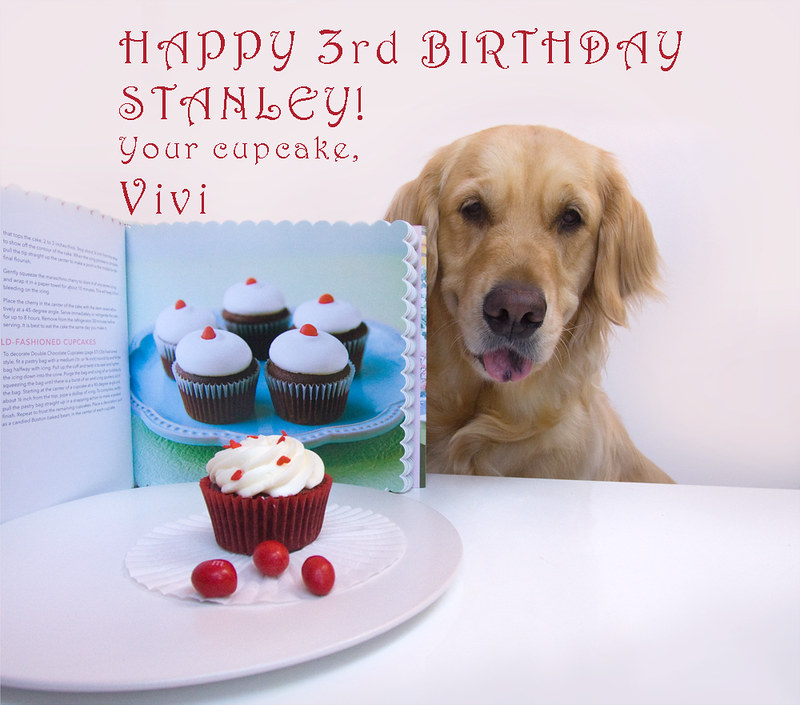 Stanley's Cupcake!  Happy Birthday!