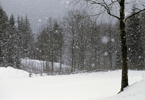 home_sweden_snow_winter