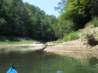 Bear Camp Creek