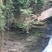 Kintempa Falls, Ghana - IMG_1295_CR2