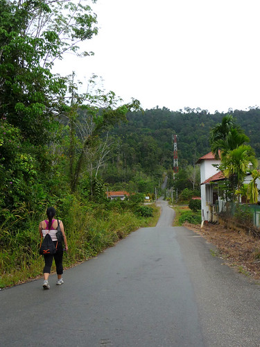 Taman Negara trip  May 2012 - walk back to Rainforest Resort