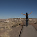 03-15-12: End of Our Petrified Forest Hike