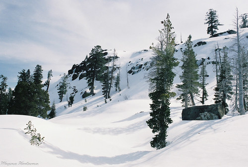 Another Sierra Snow Scene