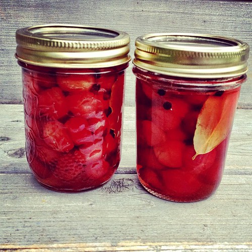 Finished product #pickledcherries #picklegram @sfn8tiv