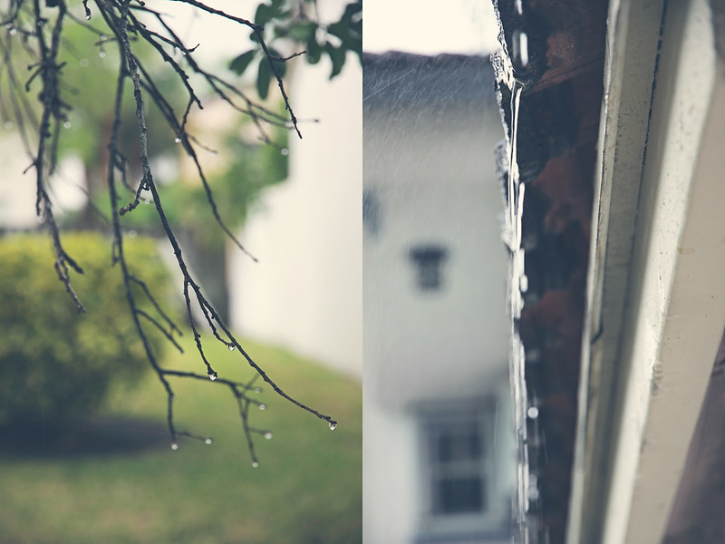 rainy afternoon diptych