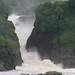 Murchison Falls National Park impressions - IMG_5612