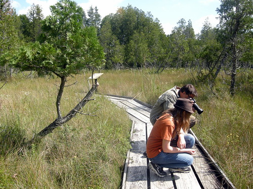 Cedar Bog State Nature Preserve