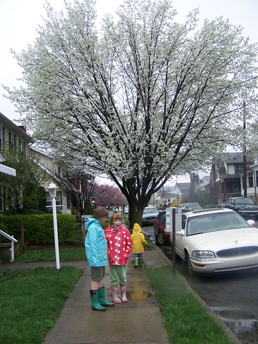 Rainy day walk by Emilyannamarie