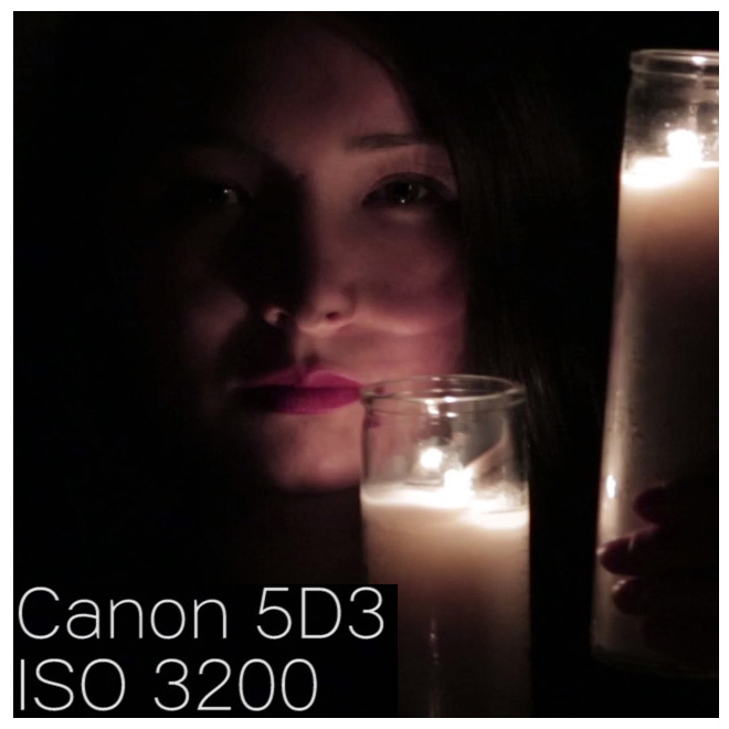 canon5d3_iso3200_100percentcrop