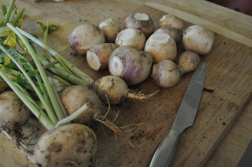 eating local :: turnips