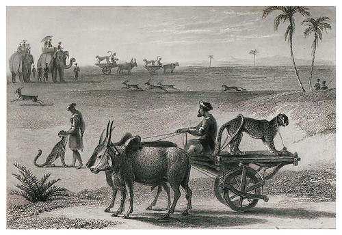 014-Caza con guepardo-The oriental annual, or scenes in India 1835-1840- William Daniell-© Universitätsbibliothek Heidelberg