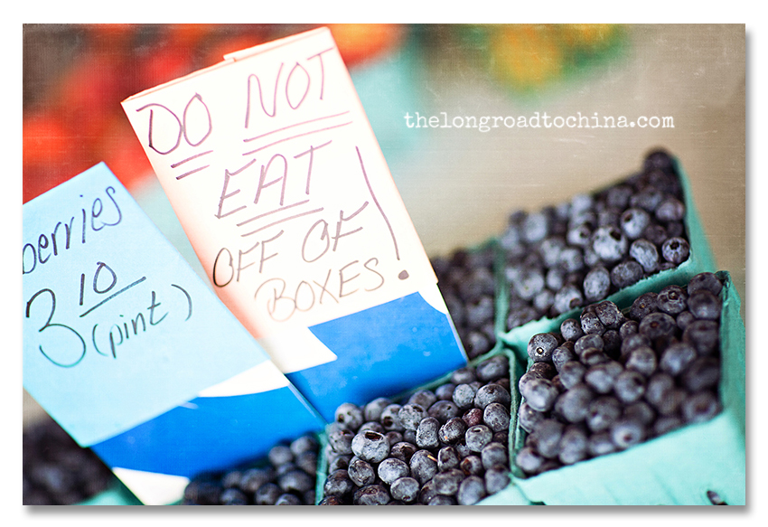 Do Not Eat Blueberries BLOG