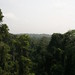 Kakum canopy walk, Ghana - IMG_1523_CR2