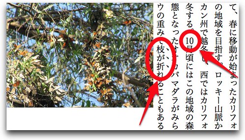 EPUB 3 Flowing ebook with Japanese writing