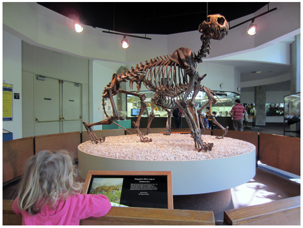 Exploring the Page Museum at the La Brea Tar Pits