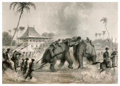 008-Pelea de elefantes-The oriental annual, or scenes in India 1835-1840- William Daniell-© Universitätsbibliothek Heidelberg
