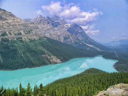 This Photo 'Peyto Lake' was JERRY SEINFELD's selection for his HIT BROADWAY SHOW 'Long Story Short' by Chantal.PhotoPix