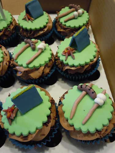 Camping themed cupcakes