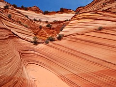 2012-5 USA Coyote Buttes South