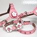 Flowers Cotton Candy Leather Collars and Harnesses