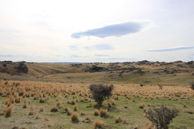Día 17 - 16/10/15: Rohan Country (de Otago a Alexandra) y Queenstown - Nueva Zelanda, Aotearoa: El viaje de mi vida por la Tierra Media (42)
