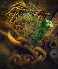 Rust and Green Life 01