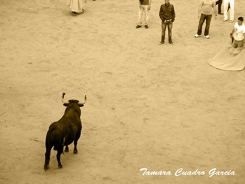 99_365+1 Domingo Toro Embolao by Fodi_Danae