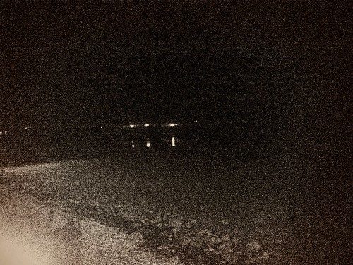 Nocturnal Beach, Dirigo Dynamo