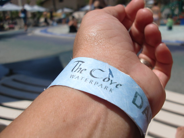 The Cove Band