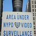 New York 2012 NYPD VS