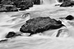 Black and white: Great Falls 2016