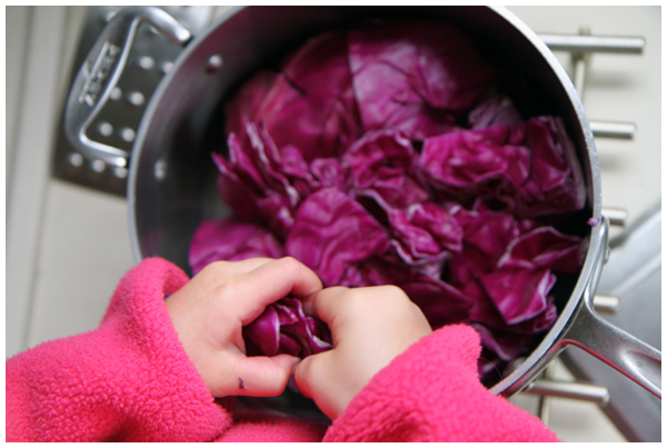 Preparing cabbage Easter egg dye