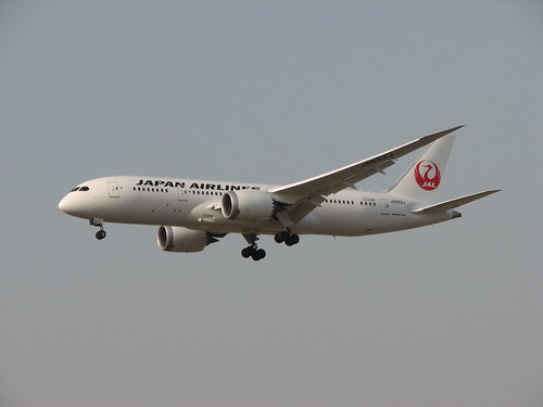Japan Airlines Boeing 787 JA822J Landing At Delhi