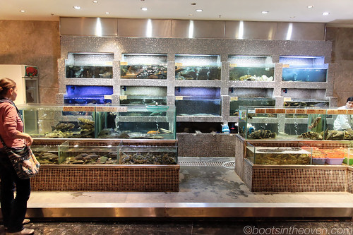 Fresh Seafood Tanks, Guangzhou Restaurant