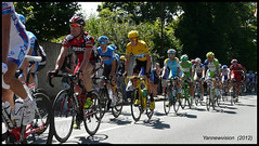 Tour de France (2003, 2012 et 2016)