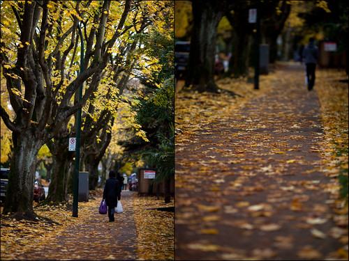 autumn in Vancouver (by: Junichi Ishito, creative commons)