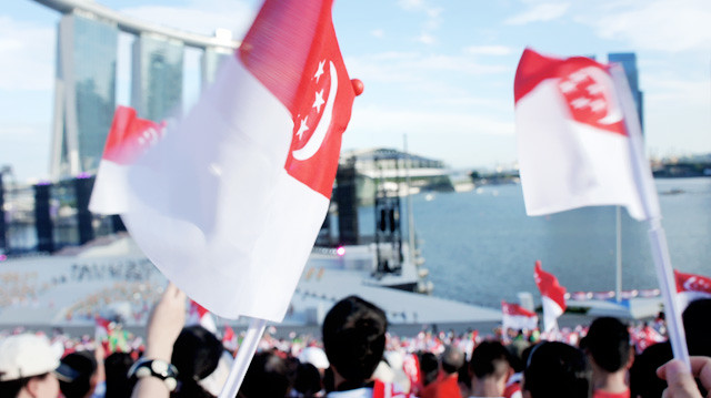 NDP 2012 FLAGS