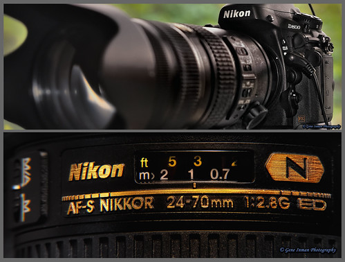 Nikon D800 : 24-70mm f/2.8G ED AF-S Nikkor Wide Angle - Facebook Cover Banner - Free of Copyright