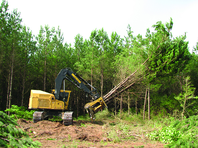 A high-productivity system to harvest Southern pine