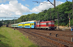 Polish diesels in June 2011